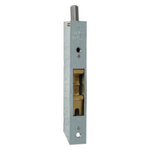 Dyla 2001 | Verrou pour vantail semi-fixe | Longueur 120 mm