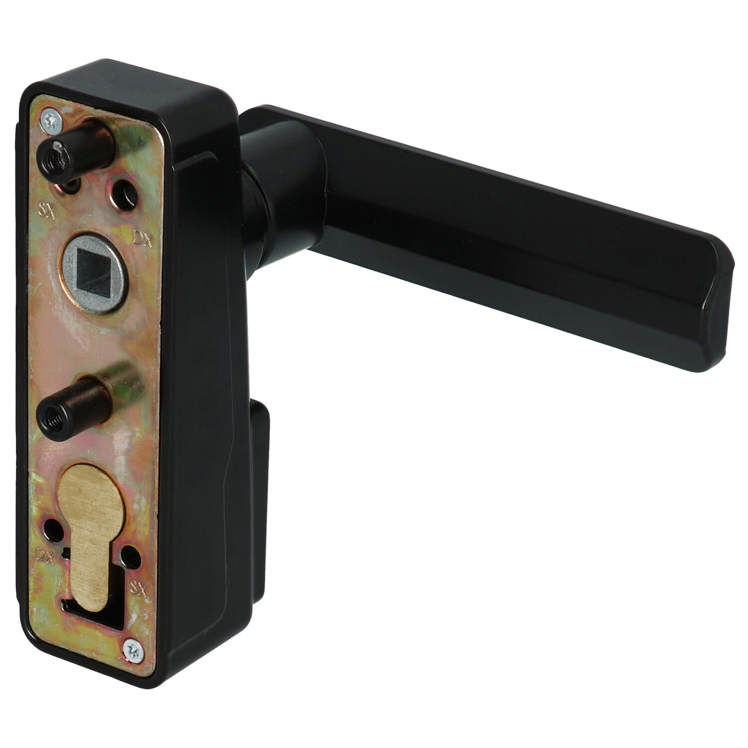 Iseo Trim 94027005 module exterieur a bequille noir 2